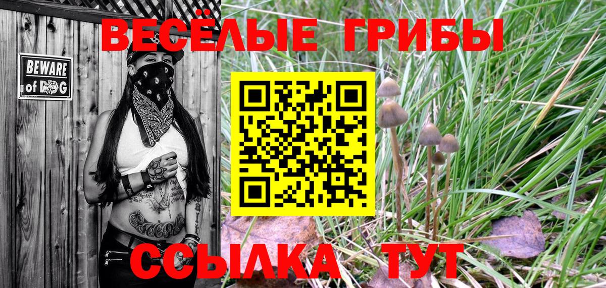 Азов  Галлюциногенные грибы Psilocybine cubensis  Вход с VPN 